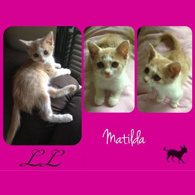 Photo of Matilda