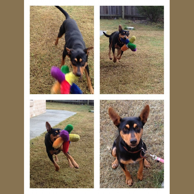 Photo of Rayne