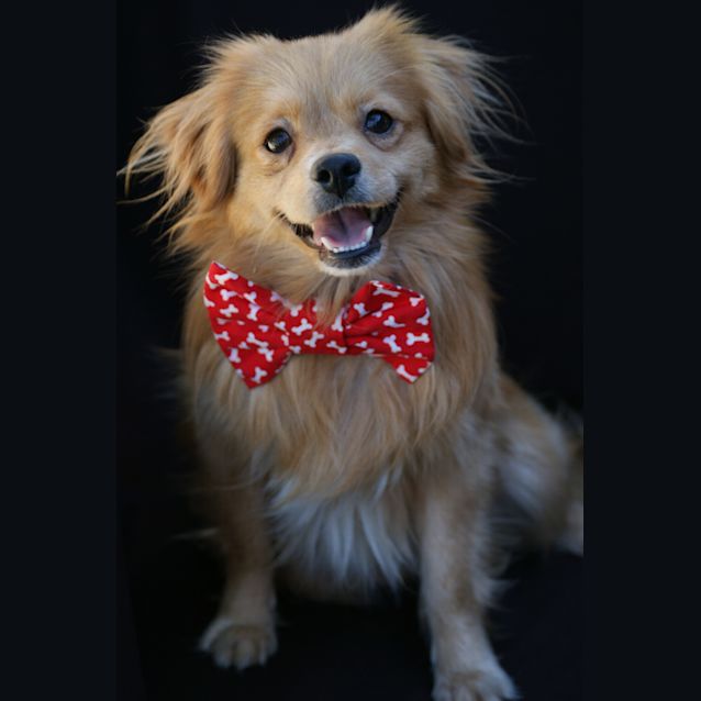 Photo of Danny