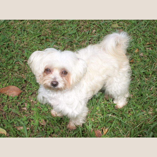 Photo of Zoe (On Trial 22/4/13)