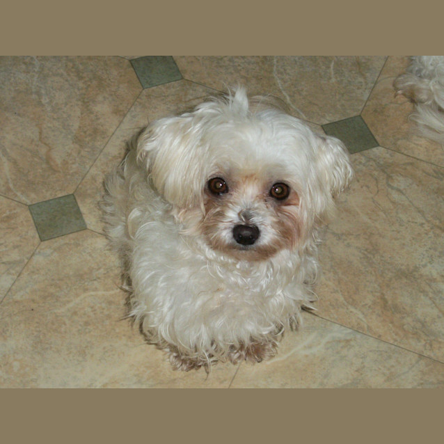 Photo of Zoe (On Trial 22/4/13)