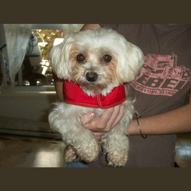 Photo of Zoe (On Trial 22/4/13)