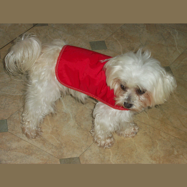 Photo of Zoe (On Trial 22/4/13)