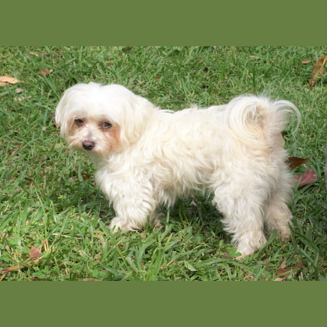 Photo of Zoe (On Trial 22/4/13)