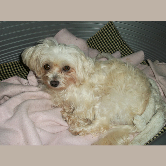 Photo of Zoe (On Trial 22/4/13)