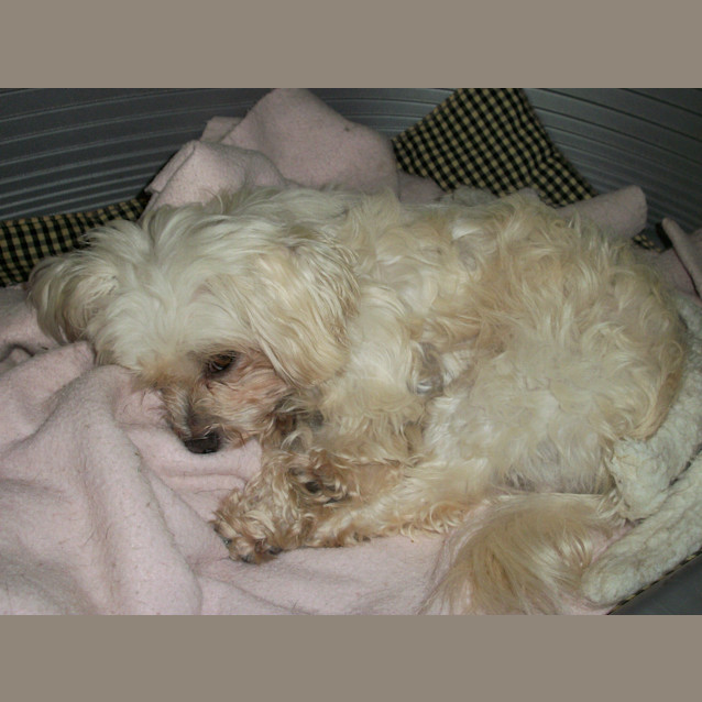 Photo of Zoe (On Trial 22/4/13)