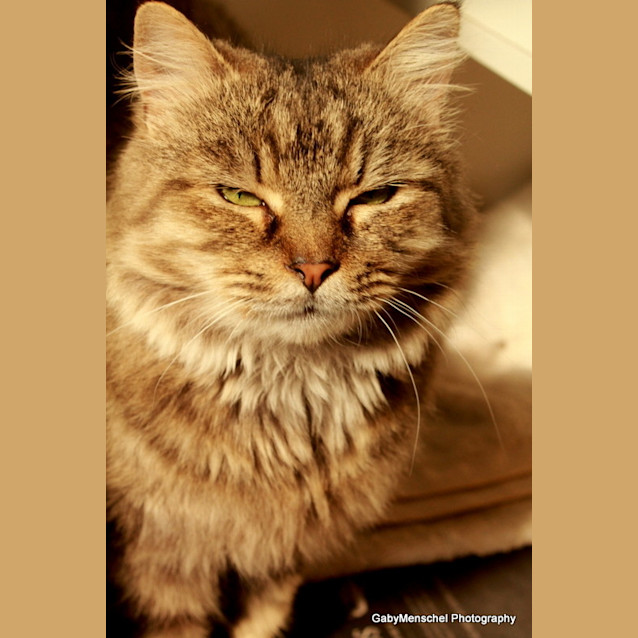 Photo of Matilda