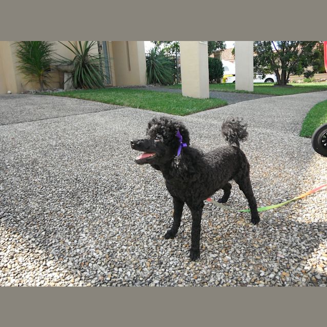 Photo of Sauvage Coco Chanel On Fire 2100283353