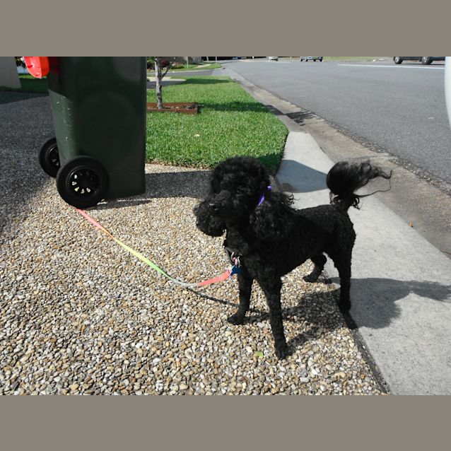 Photo of Sauvage Coco Chanel On Fire 2100283353