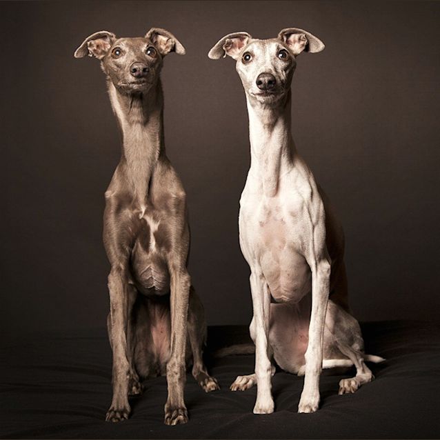 Photo of Bella & Olive