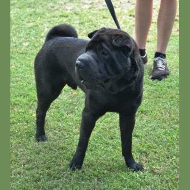 Photo of Mao