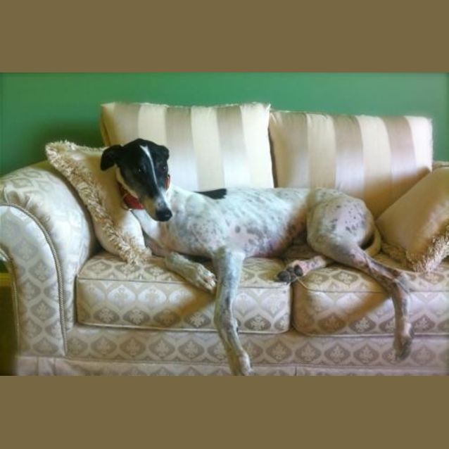 Photo of Patch