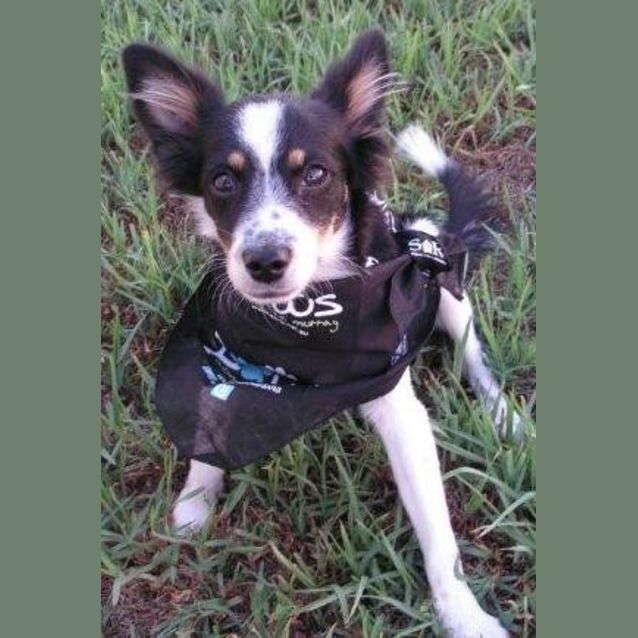 Photo of Minya *On Trial In Her New Home*