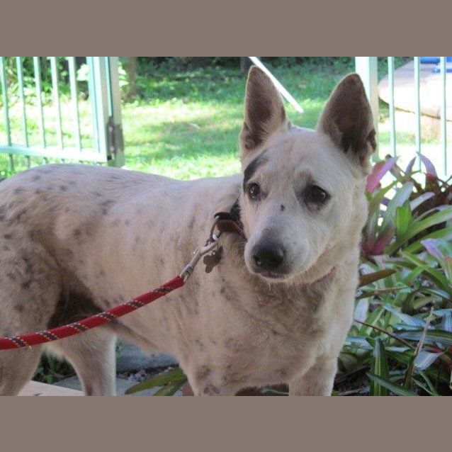 Photo of Tuppence