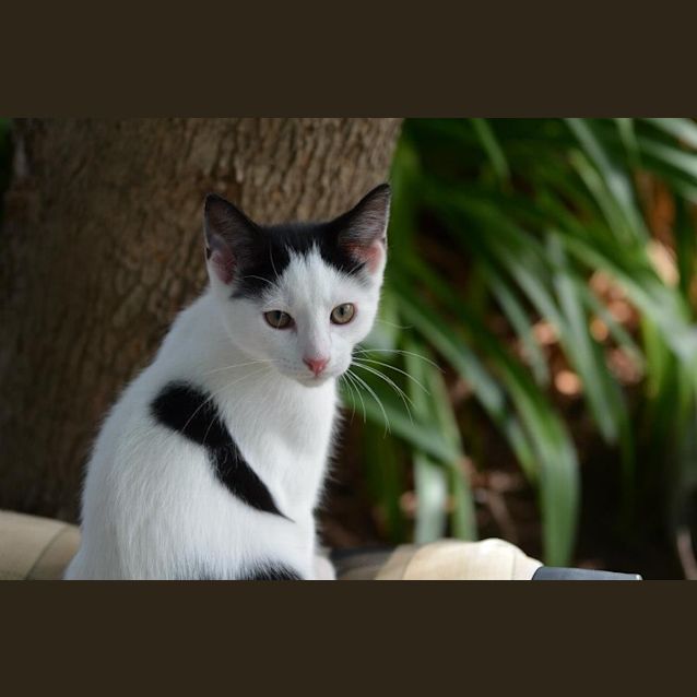 Photo of Charlie