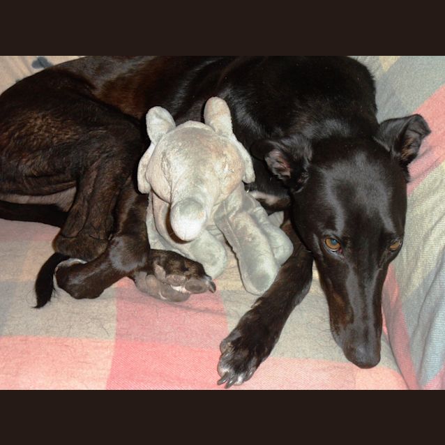 Photo of Norm *On Trial In H Is New Home*