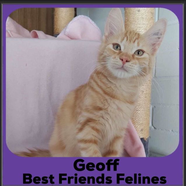 Photo of Geoff 