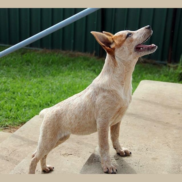 Photo of Felony   So Gorgeous It's Criminal!