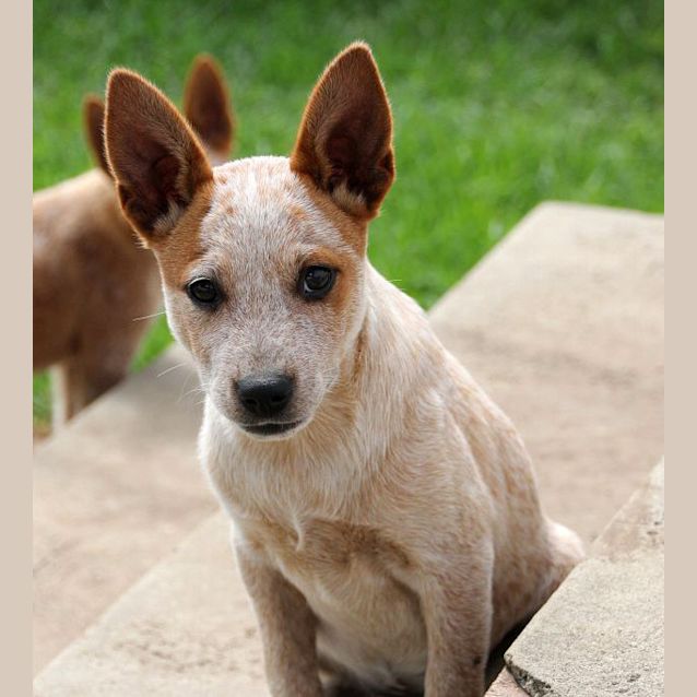 Photo of Felony   So Gorgeous It's Criminal!