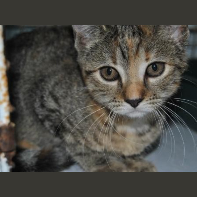 Photo of Mitzy