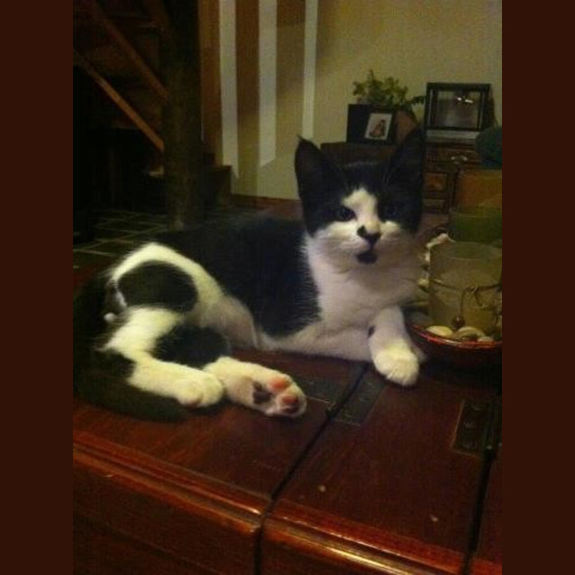 Photo of Percy