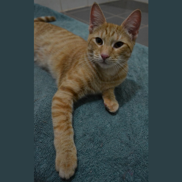 Photo of Jack(nc143)