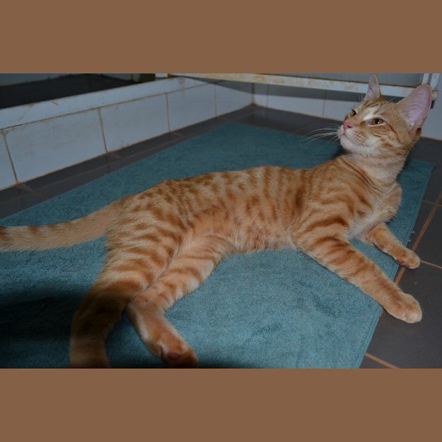 Photo of Jack(nc143)