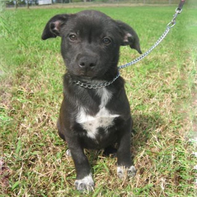 Photo of Mattie