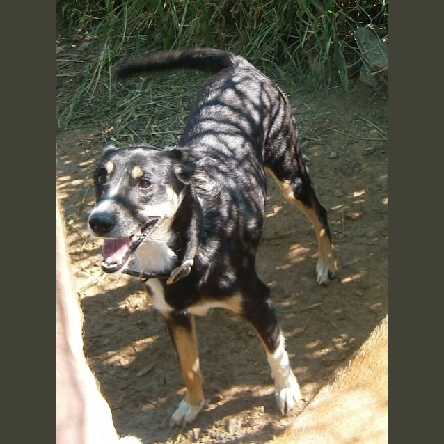 Photo of Lucy