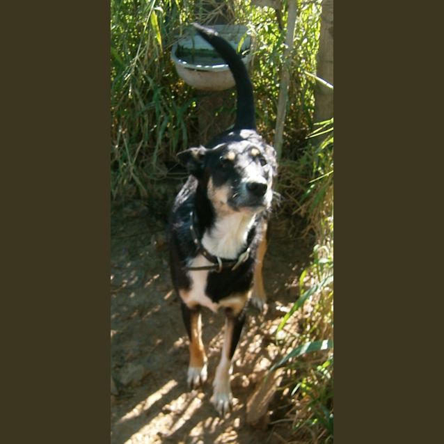 Photo of Lucy