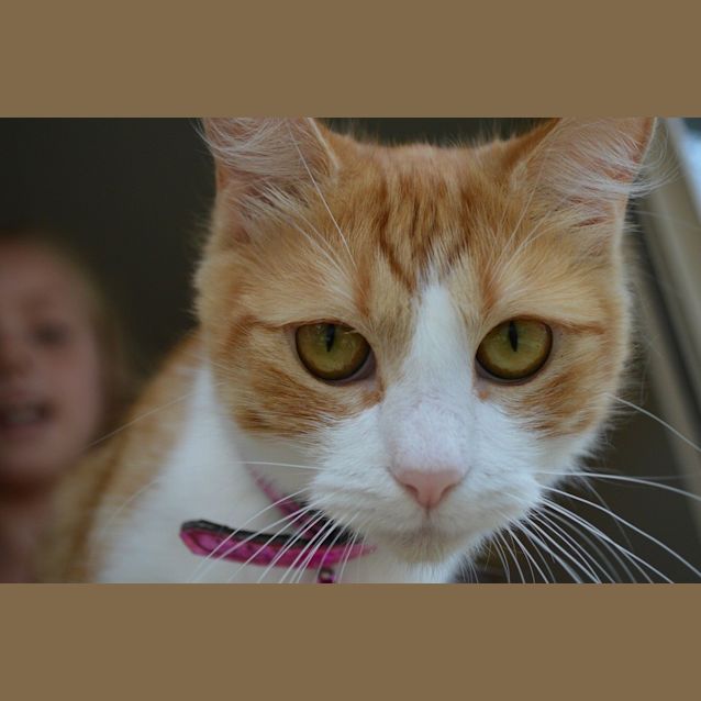 Photo of Annie