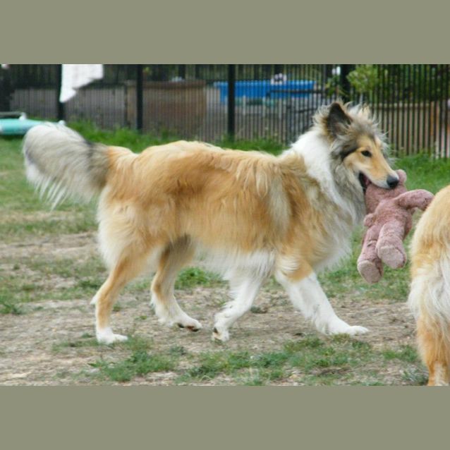 Photo of Coops