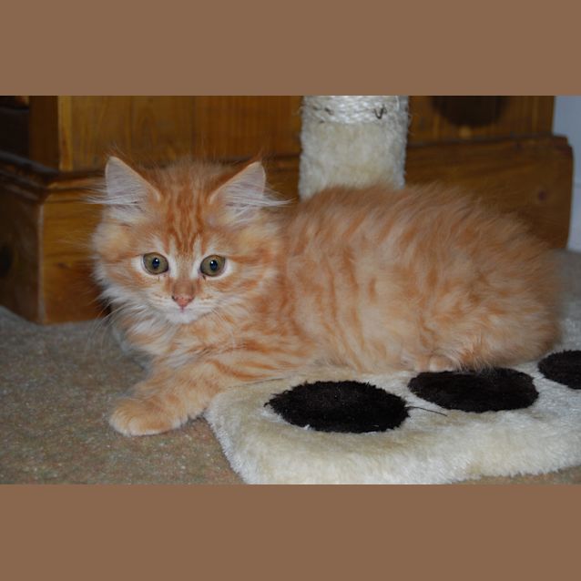 Photo of Bella