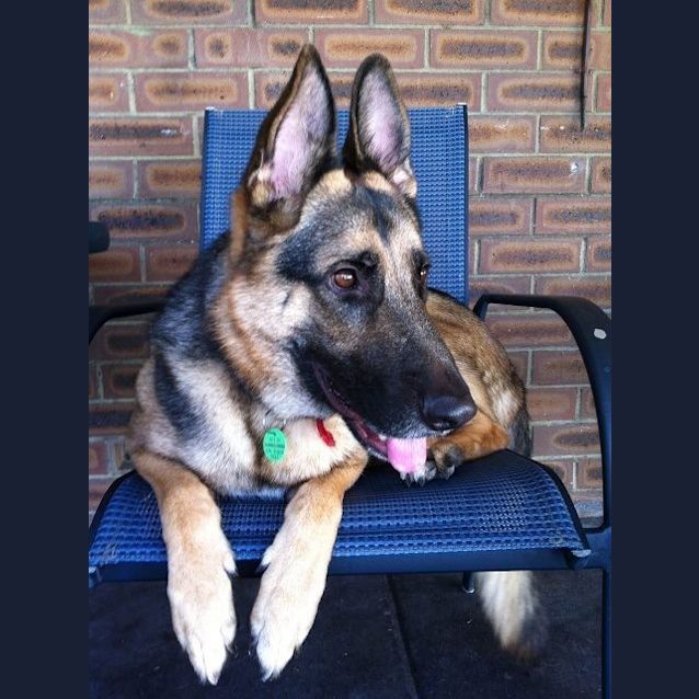 Photo of Barc