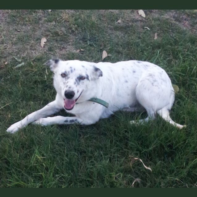 Photo of Zoe