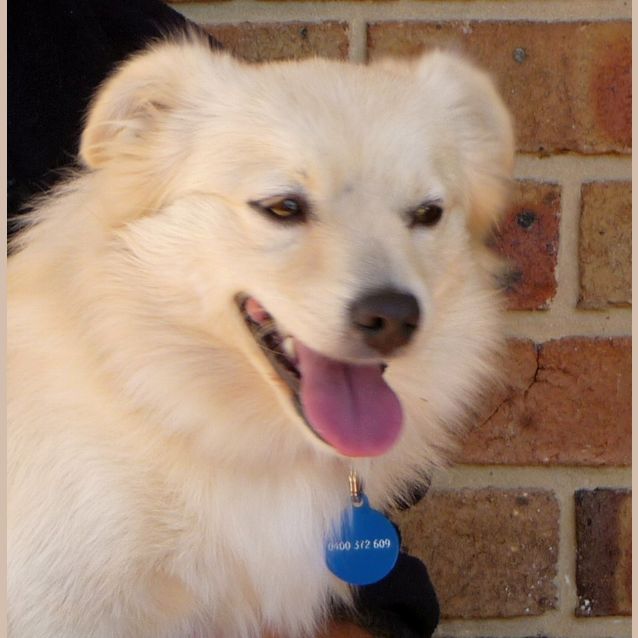 Photo of Sandy #1522