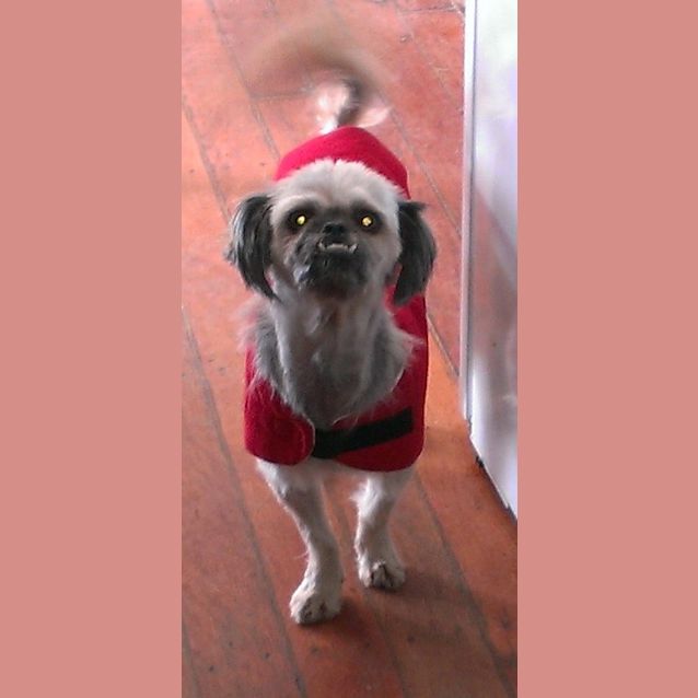 Photo of Princess