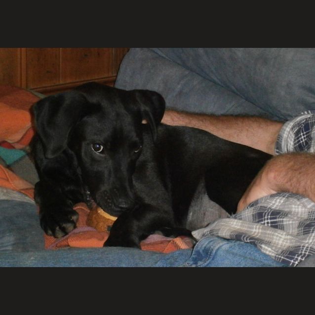 Photo of Kiwi