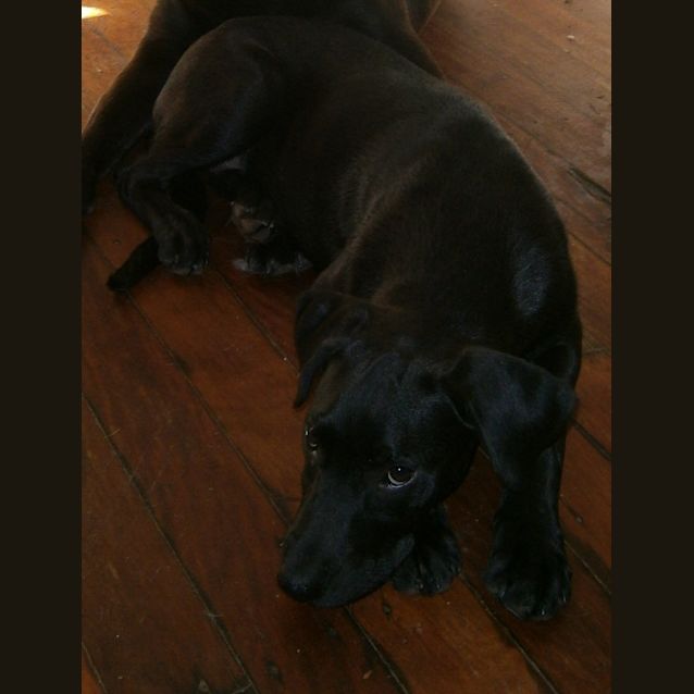 Photo of Kiwi