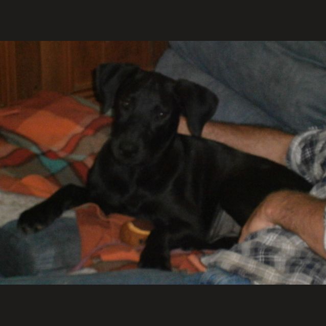 Photo of Kiwi