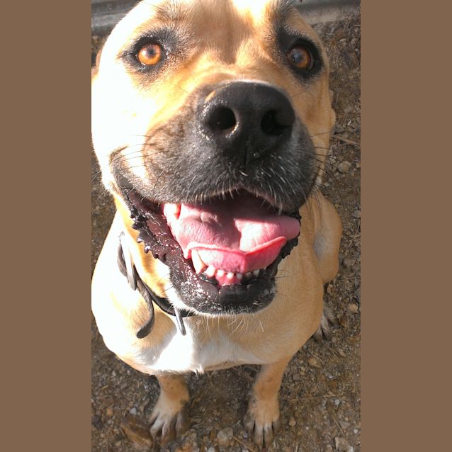 Photo of Jezebel