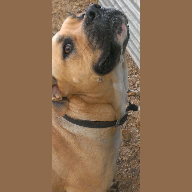 Photo of Jezebel