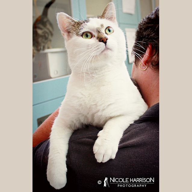 Photo of Kit