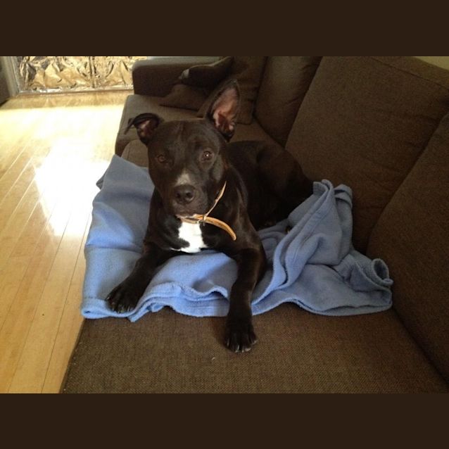 Photo of Busta