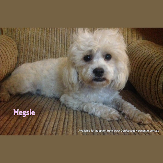 Photo of Megsie (On Trial 6/5/13)