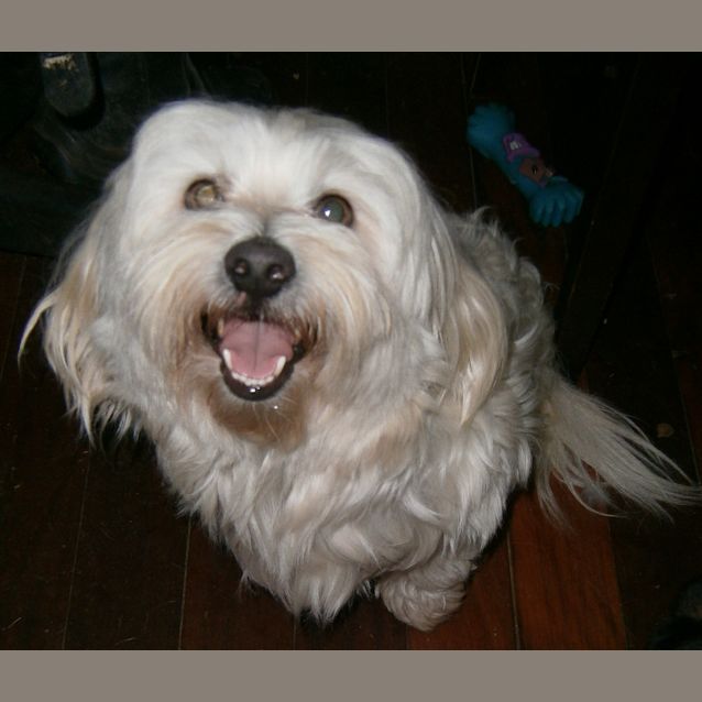 Photo of Cooper