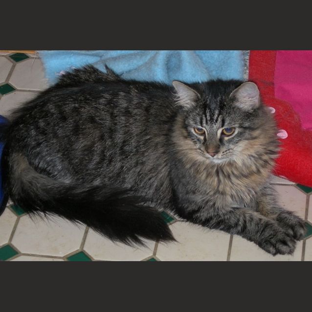 Photo of George