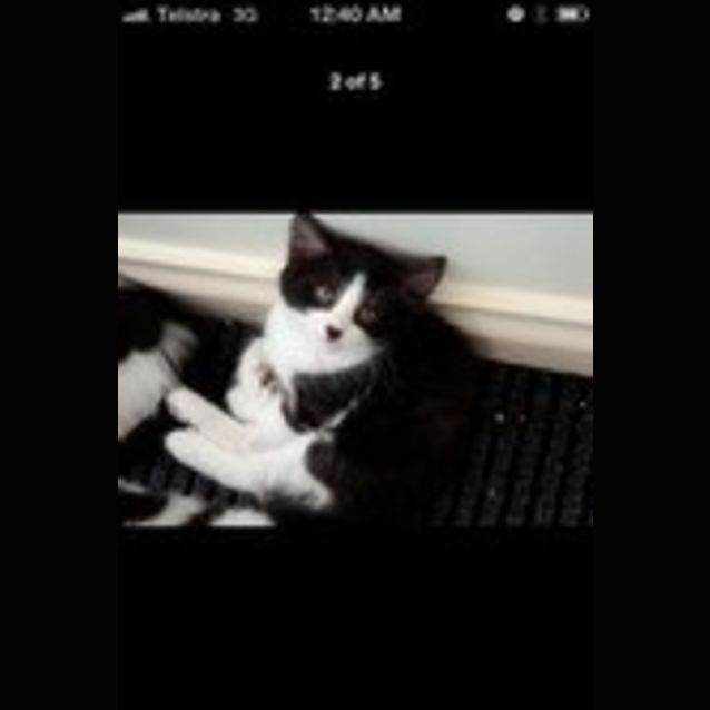 Photo of Max