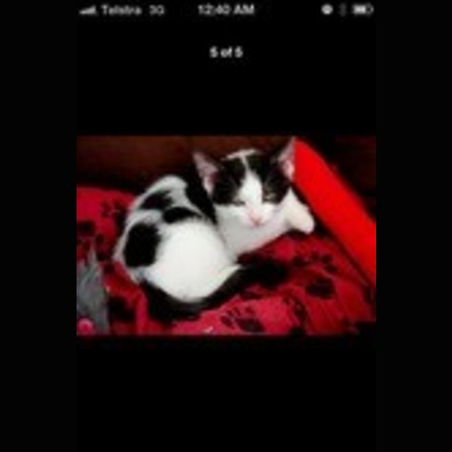 Photo of Charlie