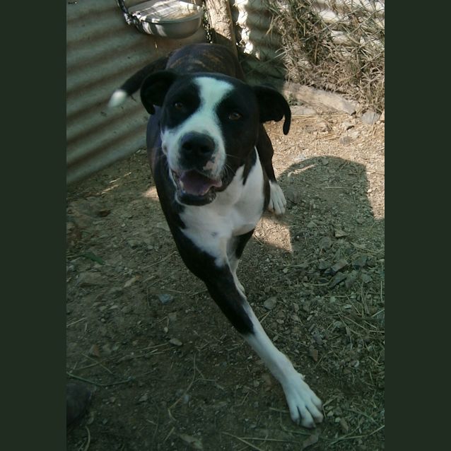Photo of Buddy Bear